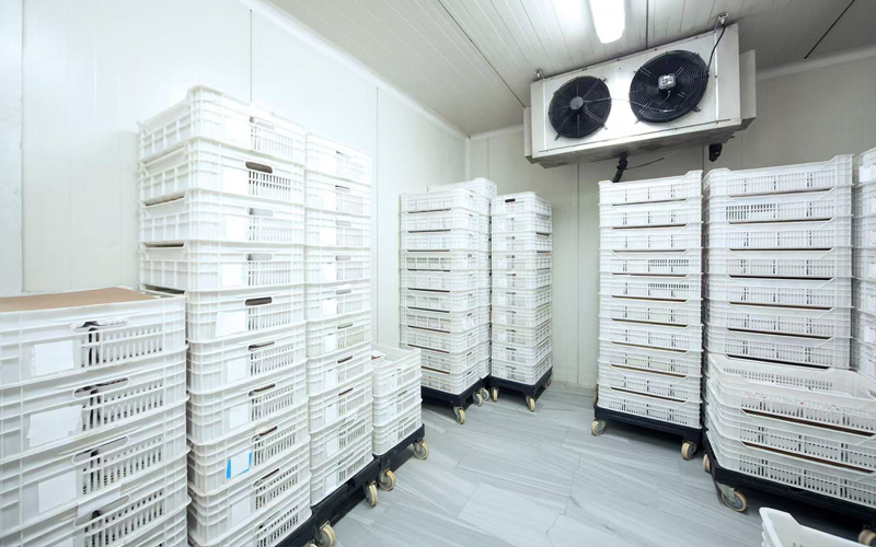 Ressourcen effizienz & Umwelt verantwortung