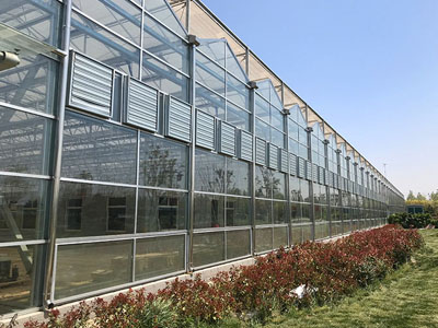 Neues Upgrade von SunxFan Double Inlet Zentrifugal ventilatoren: Die EC-Frequenz umwandlung stech no logie hilft erdlosen Anbau gewächs häusern, eine effiziente Belüftung und Temperatur kontrolle zu erreichen