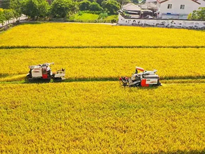 Vom Baumwoll pflücken bis zur Ernte, SunxFan EC Doppeleinlass-Zentrifugal ventilatoren mit variabler Frequenz