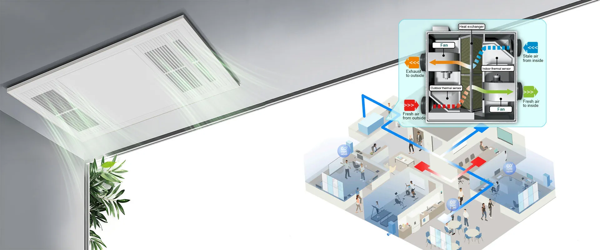 Algorithmus atmet, Wind entwickelt sich.